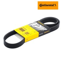 Curea transmisie Octavia 2 - 1.6 tdi CAYC CONTITECH